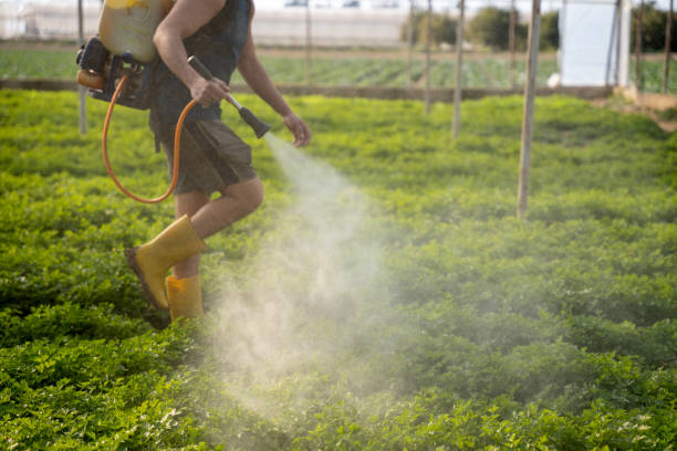 Best Commercial Pest Control Services  in Sault Ste Marie, MI