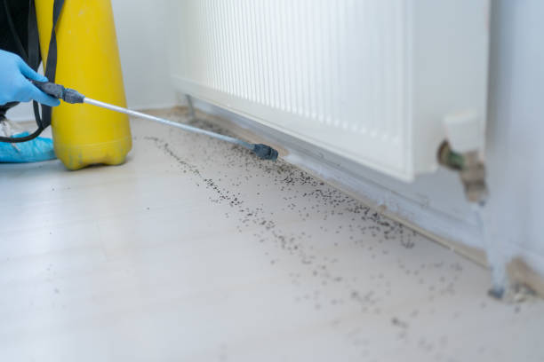 Best Pest Inspection Near Me  in Sault Ste Marie, MI